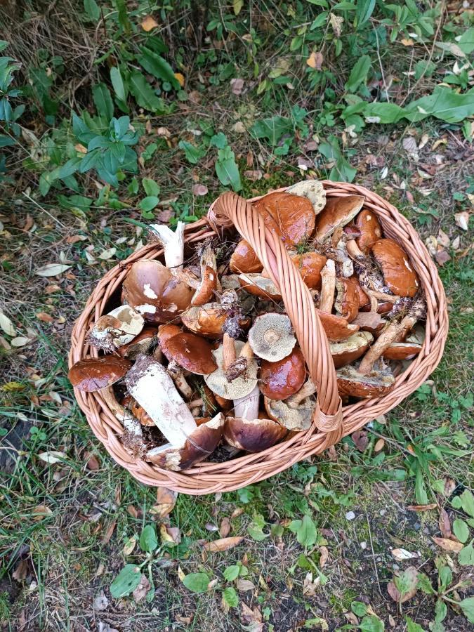 Rykowisko - Domki Caloroczne Nad Jeziorem I Rzeka Szczecinek Exterior foto