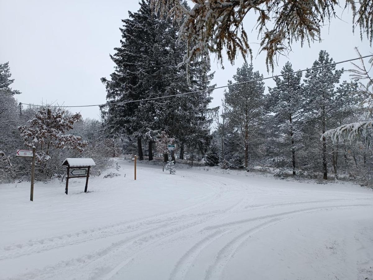Rykowisko - Domki Caloroczne Nad Jeziorem I Rzeka Szczecinek Exterior foto